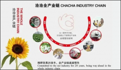 次评选勾当旨正在加速落实全国新型工业化推进